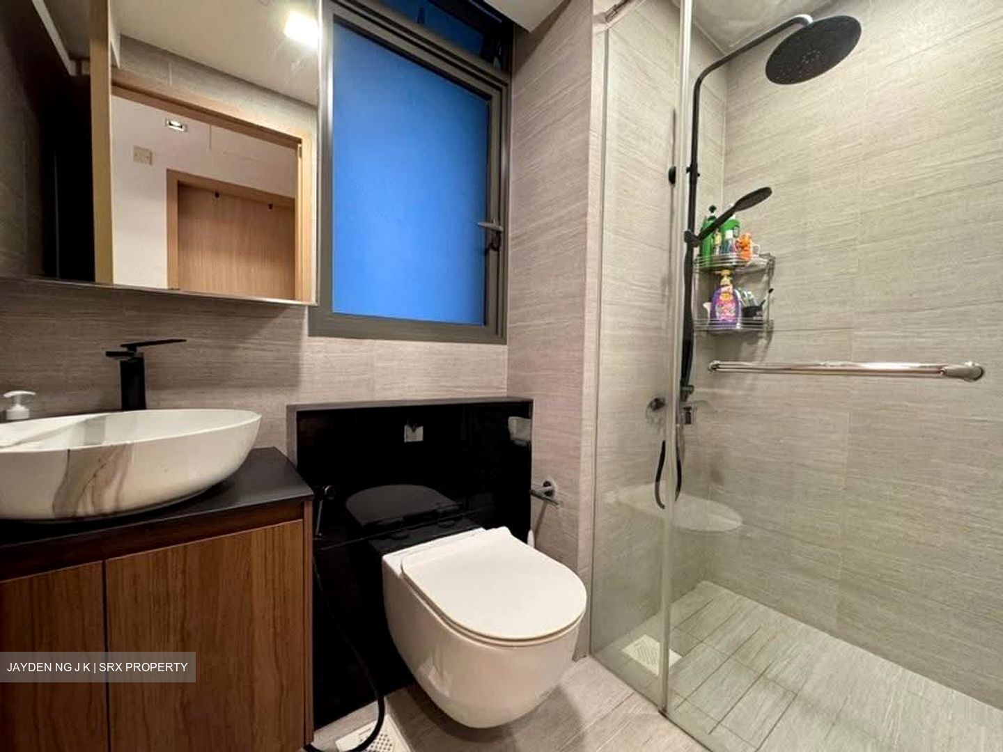 Parc Life (D27), Condominium #626085981